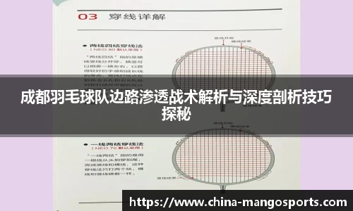 成都羽毛球队边路渗透战术解析与深度剖析技巧探秘