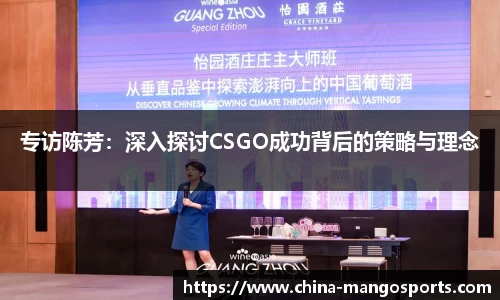 专访陈芳：深入探讨CSGO成功背后的策略与理念